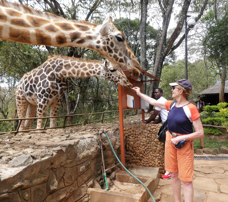 Nairobi Giraffe Centre (5)