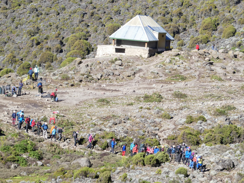 Barranco Wall Day 6 - check out the line of porters leaving Barranco Camp