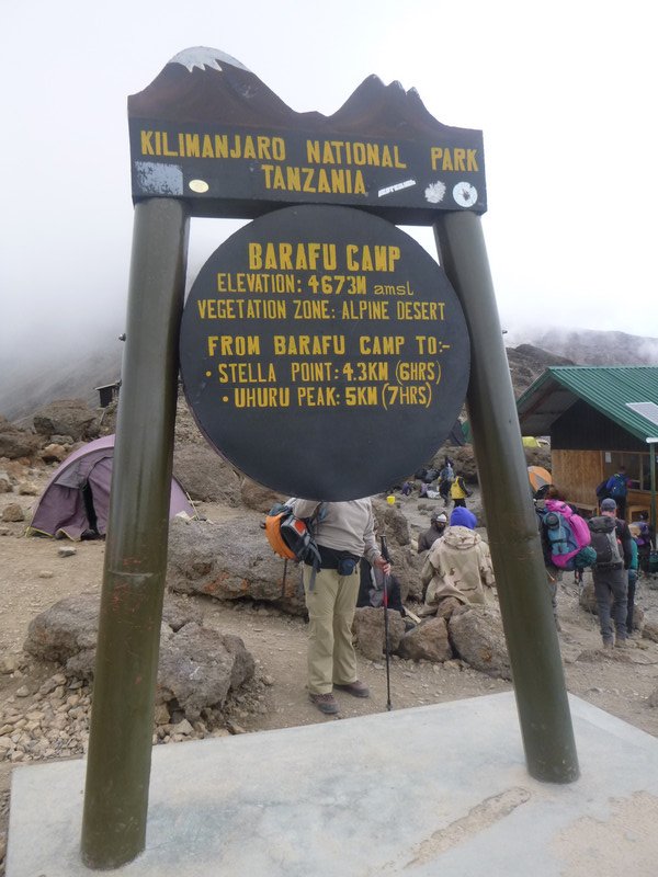 Success to Barafa Camp 4640m (5)