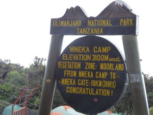Mweka Camp 3100m (2)