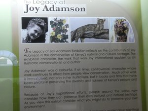 Nairobi National Museum - the work of Joy Adamson (6)