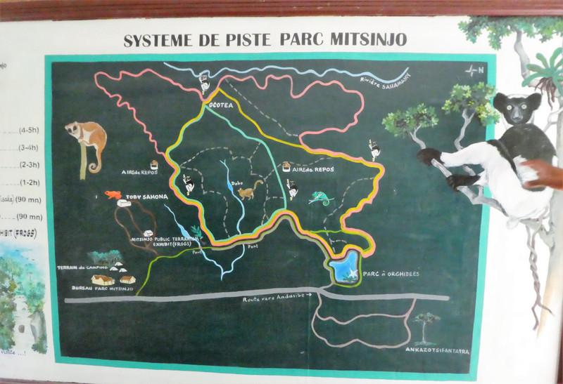 Mitsinjo Park - we walked along the orange path