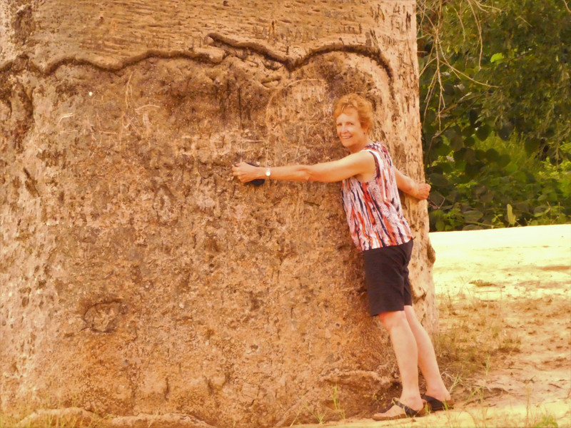 Avenue of Baobab trees, Adansonia grandidieri - Pam hugging the oldest tree 800+ years (2)