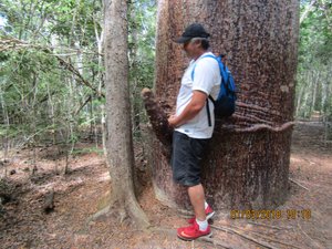 Kirindy Forest - from Reunion Island - male baobab lol - he is French (1)