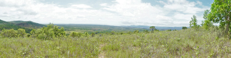 Around Ankarana in north Madagascar (14)