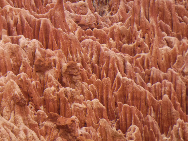Red Tsingy Canyon (9)