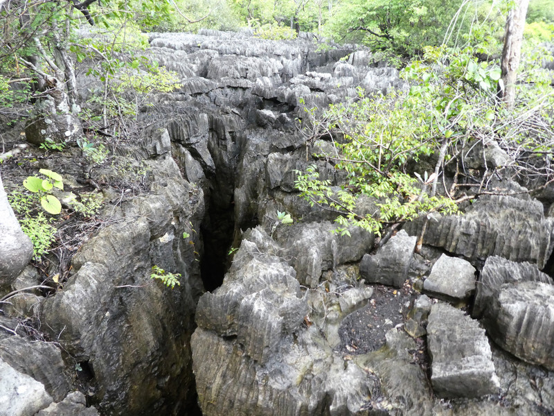 Ankarana Park - deep crevases (1)