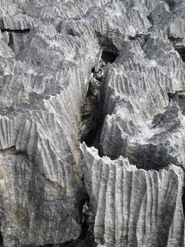 Ankarana Park - deep crevases (3)