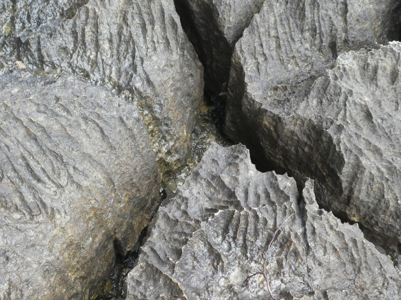 Ankarana Park - deep crevases (4)