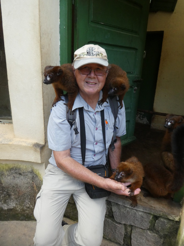 Feeding lemurs honey at Antananarivo - Tana Tsimbazaza Zoo and Botanical Gardens (2)