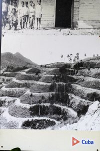 Las Terrazas 1960s Unesco Biosphere Reserve  (6)
