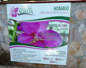 Orchid Farm in Soroa (1)