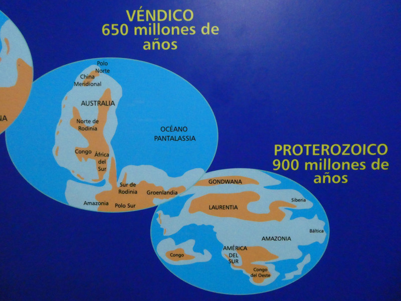 Havana Natural History Museum (8)