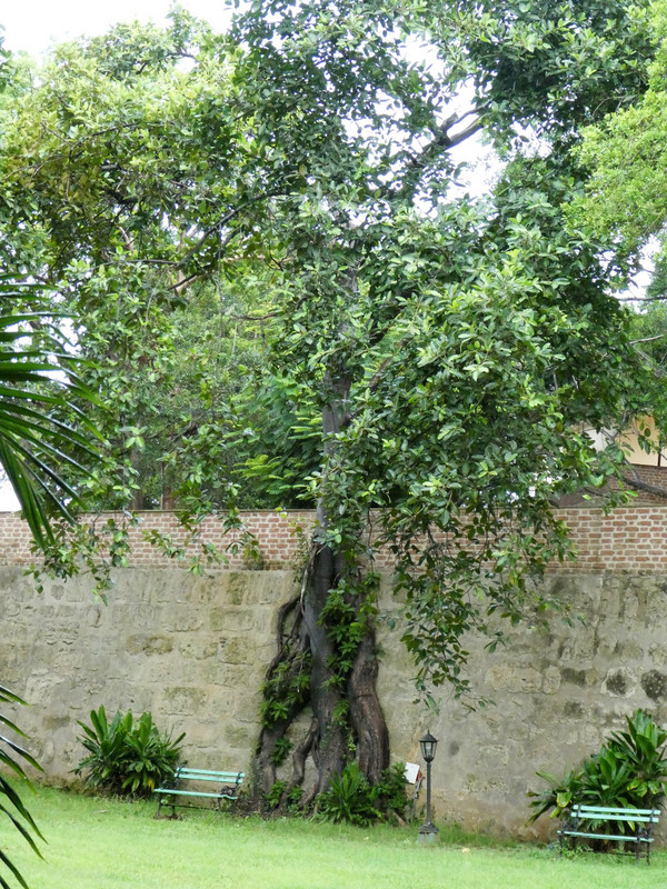 San Carlos De La Cabana Fortress - Havana (27)
