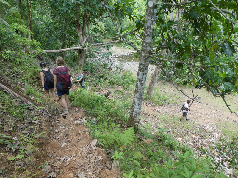 Humbolt National Park near Baracoa (67)