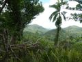 Humbolt National Park near Baracoa (18)