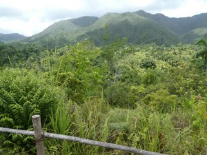 Humbolt National Park near Baracoa (16)