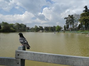Parc Los Novius - Simone Bolivar Bogota (6)