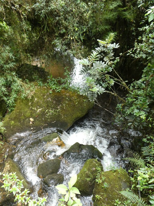 Scenes along the way to El Chorrio and Chiflón waterfalls  (13)