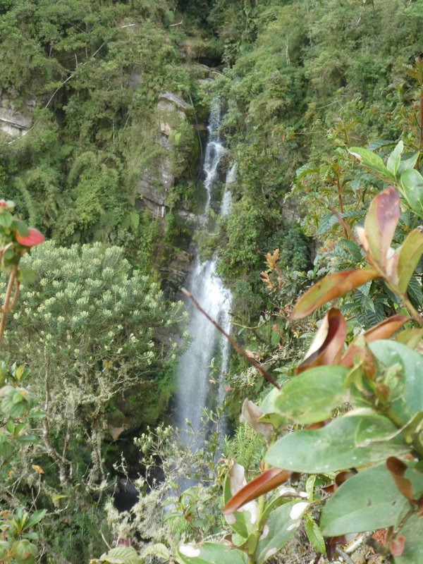 Scenes along the way to El Chorrio and Chiflón waterfalls  (18)