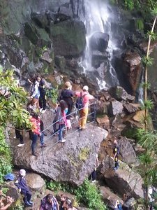 La Chorrera Waterfall 590m - Colombias highest (3)
