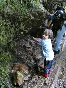 Scenes along the way to El Chorrio and Chiflón waterfalls  (40)