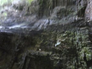 Scenes along the way to El Chorrio and Chiflón waterfalls  (44)