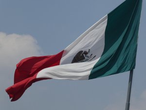 Mexicos Flag (2)