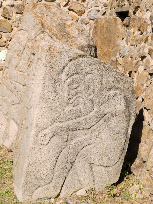 Monte Alban ruins near Oaxaca(79)