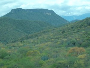 Mountain range on the way to Oaxaca (28)
