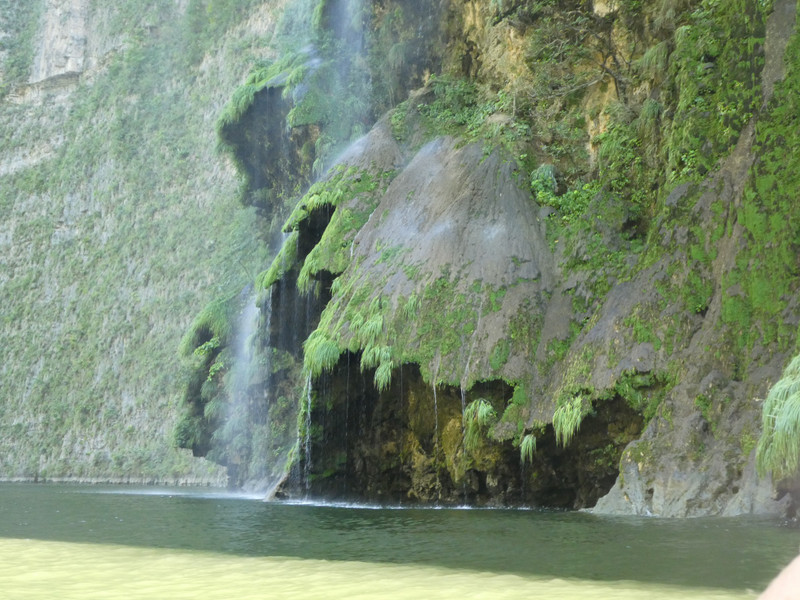 Sumidero Canyon & Grijalva River (111)