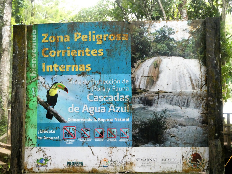 Cascada Agua de Azul near Palenque (12)