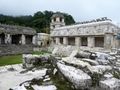 Palenque Ruins Mexico - The Plaza (4)
