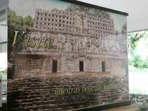 Palenque Ruins Museum (1)