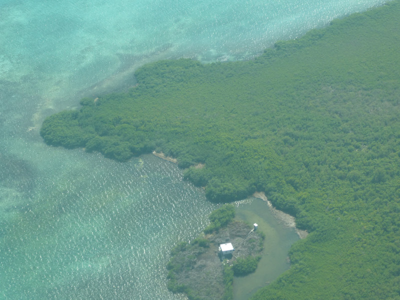 Blue Hole flight Caye Caulker Belize (33)