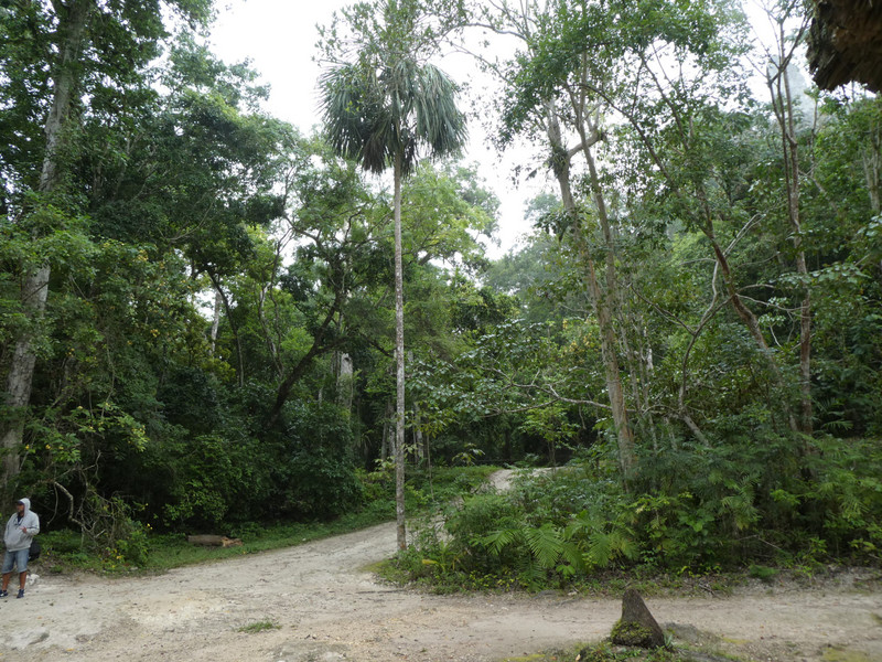 Tikal National Park Guatemala (21)