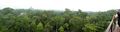 Tikal National Park Guatemala (28)