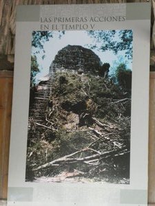 Tikal National Park Guatemala - Temple 5 restoration (1)