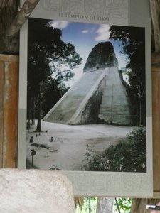 Tikal National Park Guatemala - Temple 5 restoration (2)