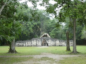 Tikal National Park Guatemala (3)