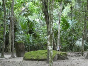 Tikal National Park Guatemala (9)