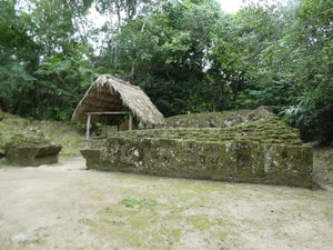 Tikal National Park Guatemala (11)