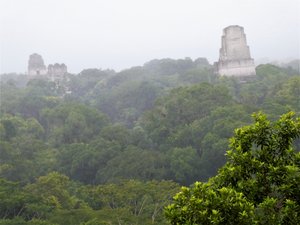 Tikal National Park Guatemala (16)