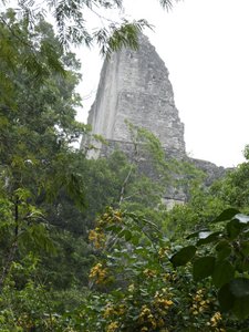 Tikal National Park Guatemala (24)