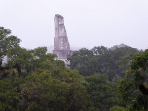 Tikal National Park Guatemala (26)