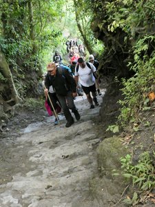 Climbing Volcano Pacaya outside Antigua (30)