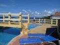 Hotel Seagrape Roatan Island Honduras (13)