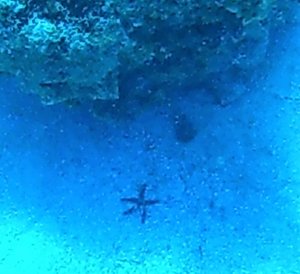 Scuber Diving off Roatan Island Honduras (3)