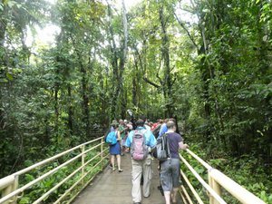 Manuel Antonio Nationaal Park Costa Rica - guided walk (5)