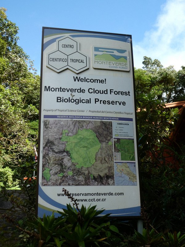 Monteverde Cloud Forest National Park Costa Rica (1)